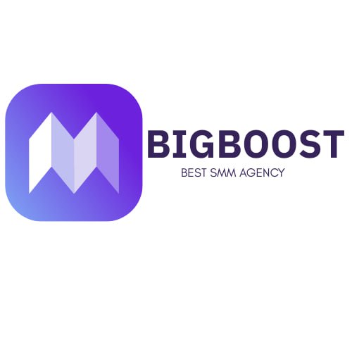 whydashcreatorsdashanddashsmalldashbusinessesdasharedashchoosingdashbigboostdashmediadashhubdashfordashsocialdashmediadashgrowt