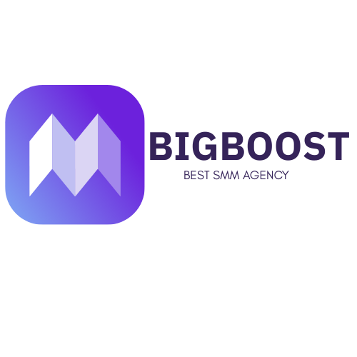 BigBoost Media Hub